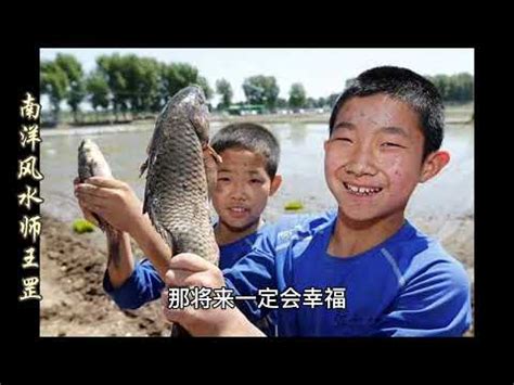 夢見大魚|夢見抱著大魚，夢到抱著大魚是什麽意思？